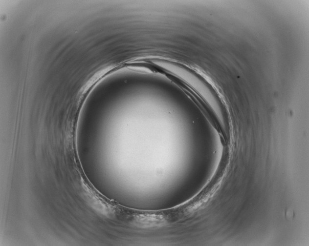 X0000087421137200704201419