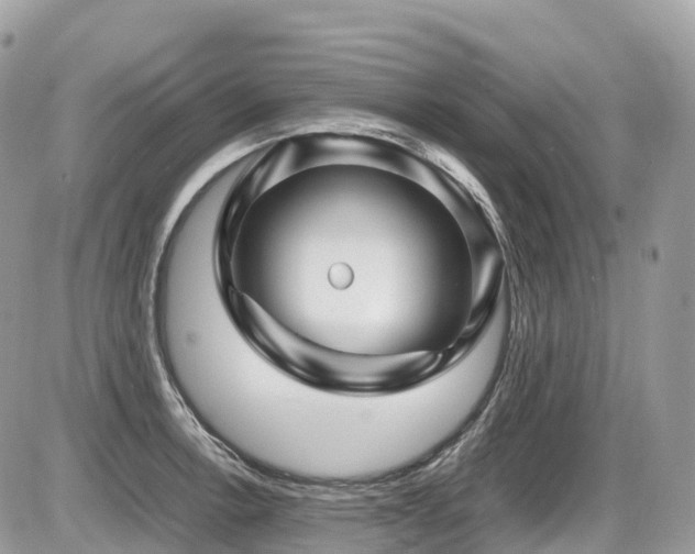 X0000087421138200704201419