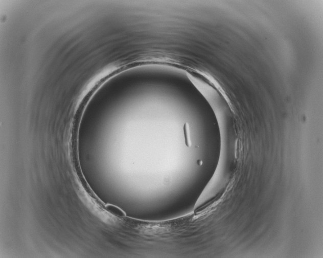 X0000087421139200704201419