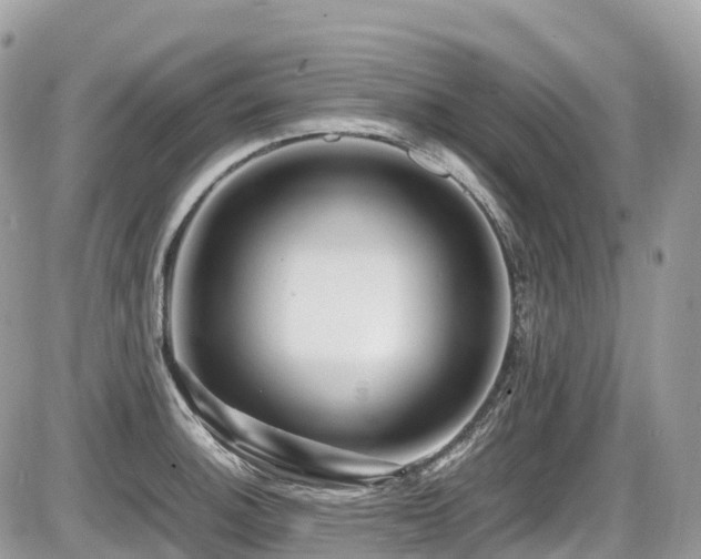 X0000087421140200704201419