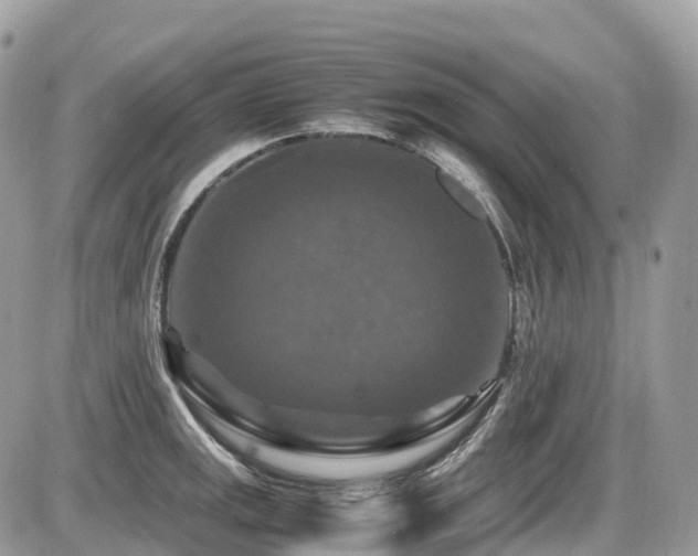 X0000087421141200704201419