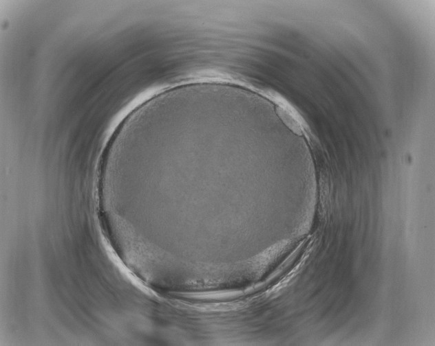 X0000087421142200704201419