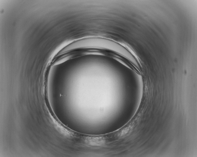 X0000087421143200704201419