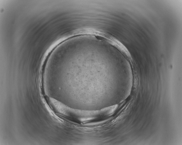 X0000087421144200704201419