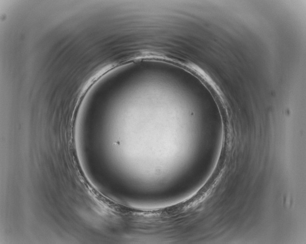 X0000087421145200704201419