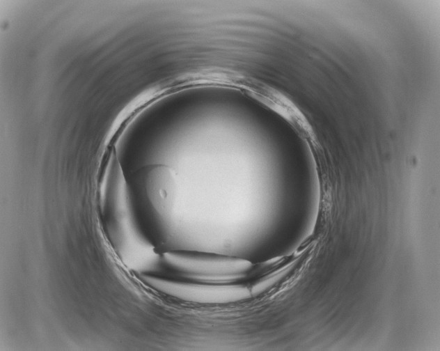 X0000087421146200704201419