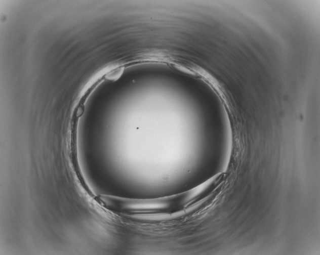 X0000087421147200704201419