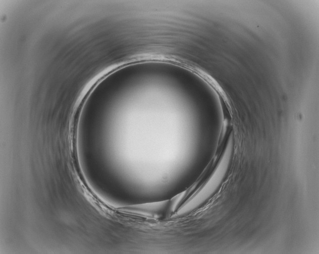 X0000087421148200704201419