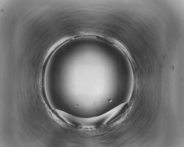 X0000087421149200704201419