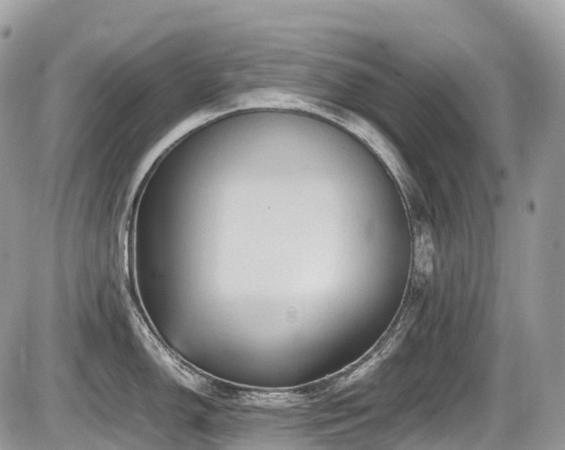 X0000087421150200704201419