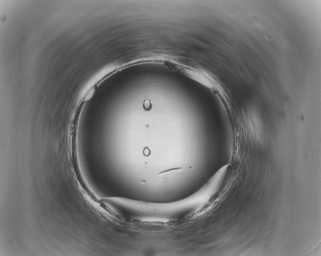 X0000087421151200704201419