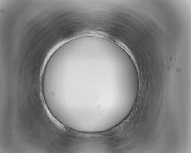 X0000087421152200704201419