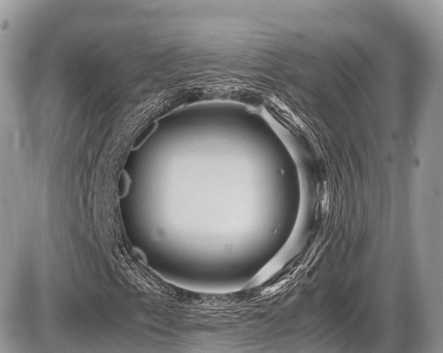 X0000087421153200704201419