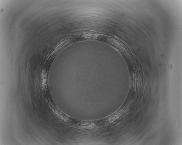 X0000087421154200704201419