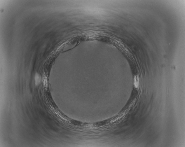 X0000087421155200704201419