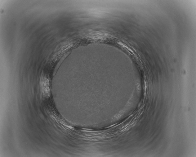 X0000087421156200704201419