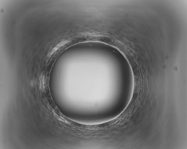 X0000087421157200704201419