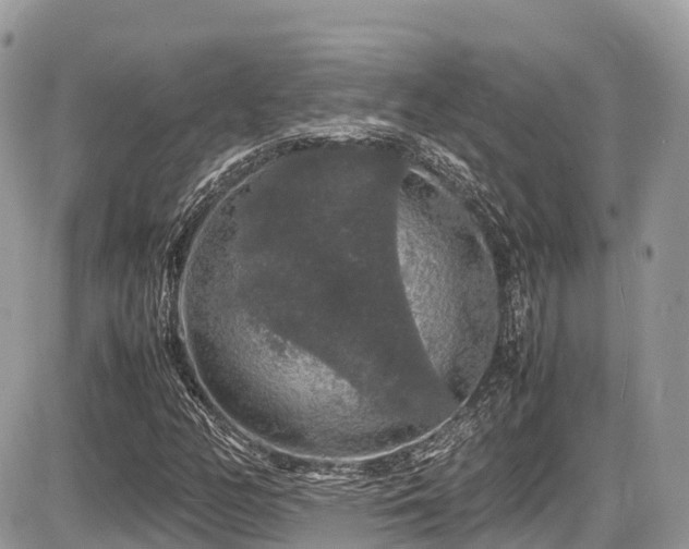 X0000087421158200704201419