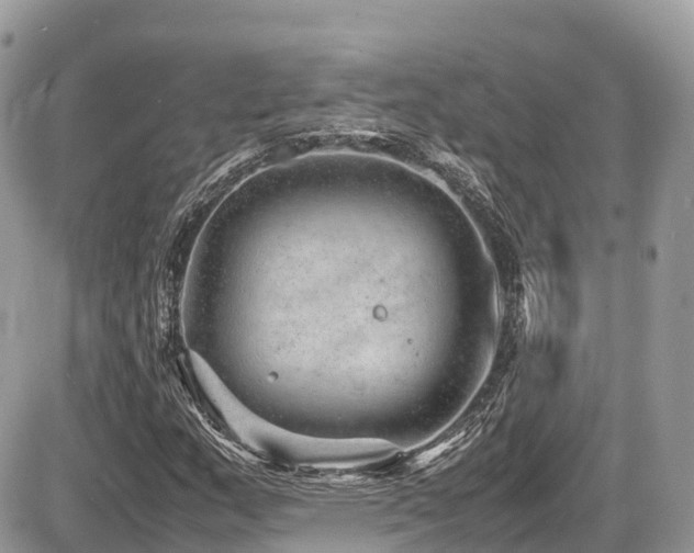 X0000087421159200704201419