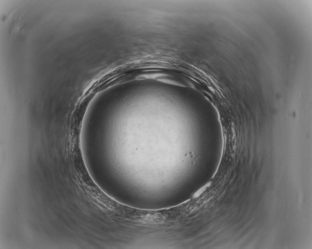 X0000087421160200704201419