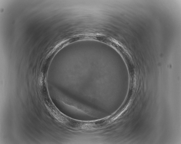 X0000087421161200704201419