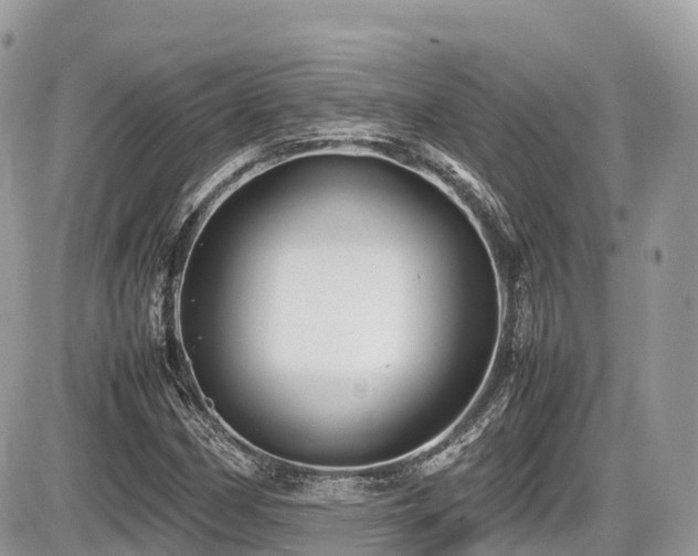 X0000087421162200704201418