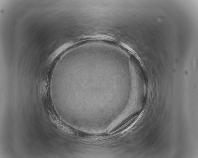 X0000087421163200704201418