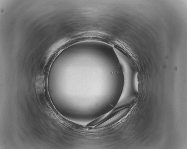 X0000087421164200704201418