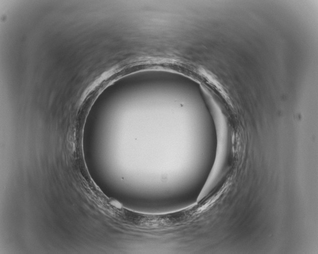 X0000087421165200704201418