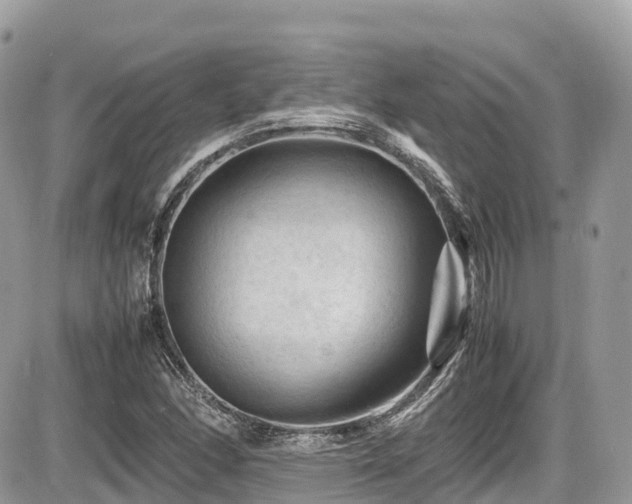 X0000087421166200704201418