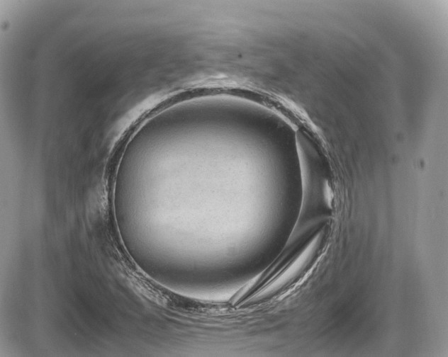 X0000087421167200704201418