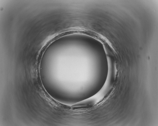 X0000087421168200704201418