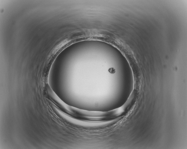 X0000087421169200704201418