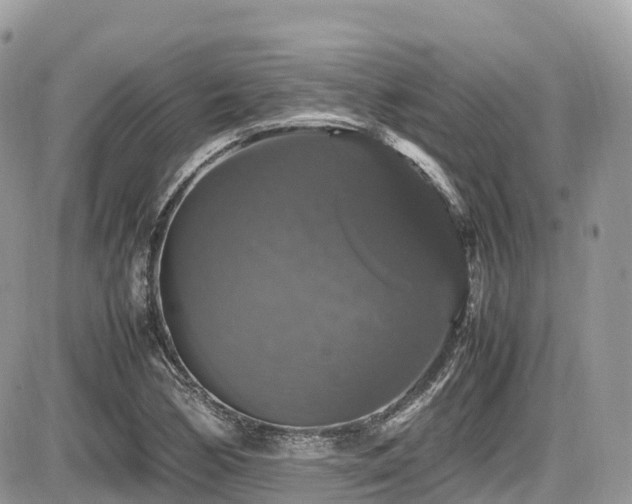 X0000087421170200704201418