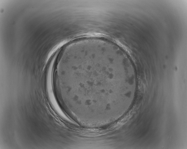 X0000087421171200704201418