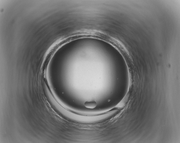 X0000087421172200704201418