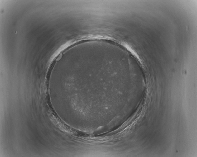 X0000087421173200704201418