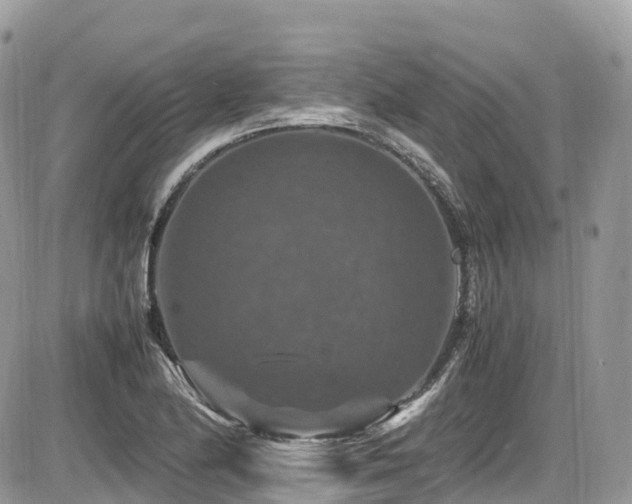 X0000087421174200704201418