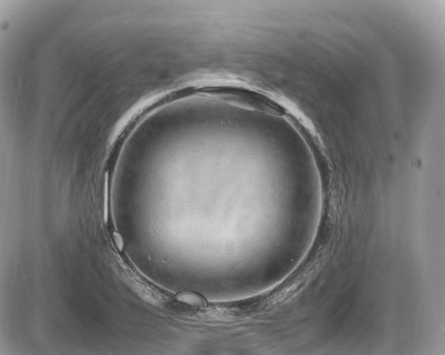 X0000087421175200704201418