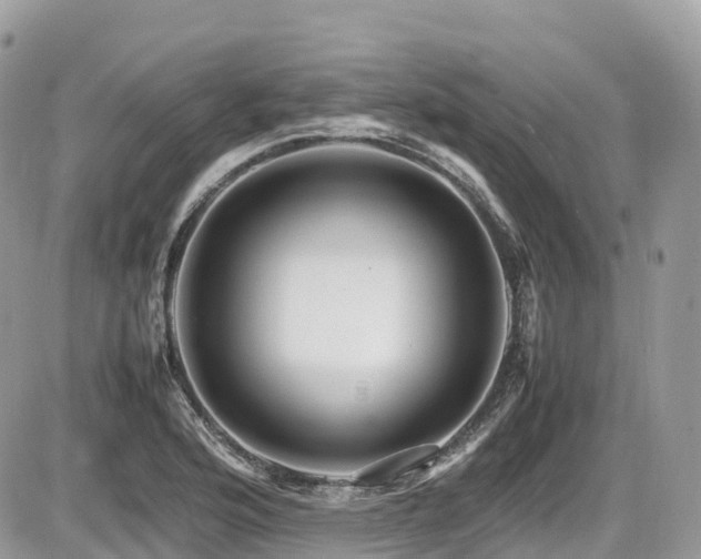 X0000087421176200704201418