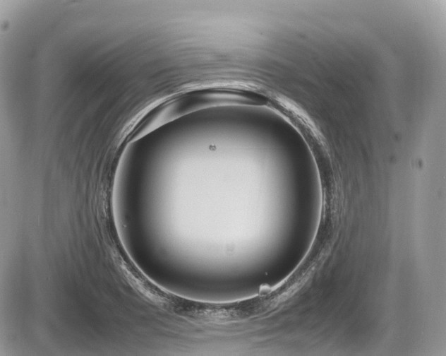 X0000087421177200704201418