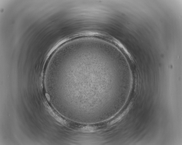 X0000087421178200704201418