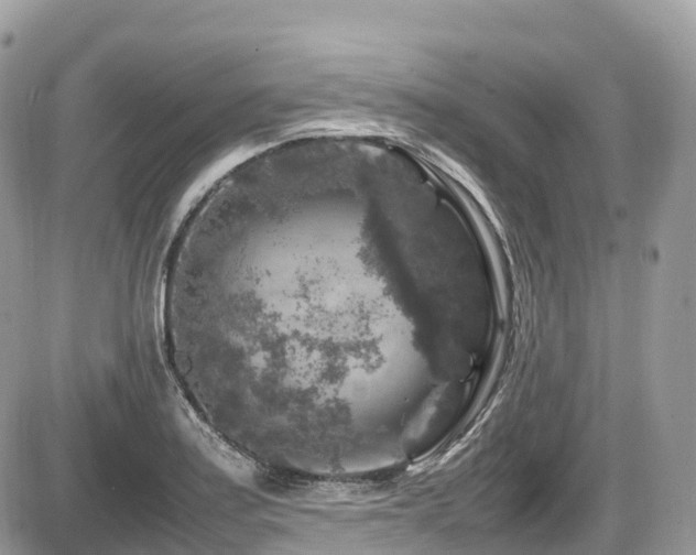 X0000087421179200704201418