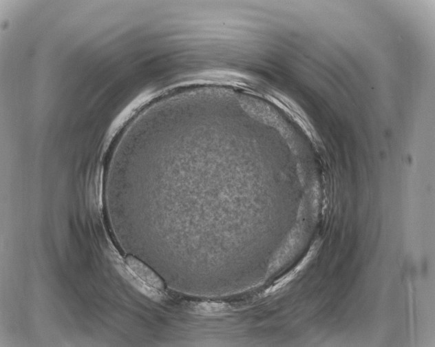 X0000087421180200704201418