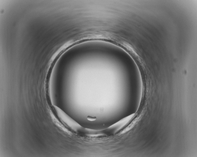 X0000087421181200704201418