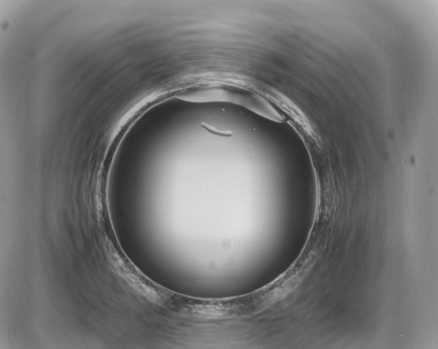 X0000087421182200704201418