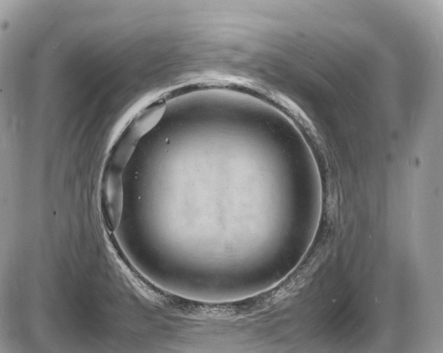 X0000087421183200704201418