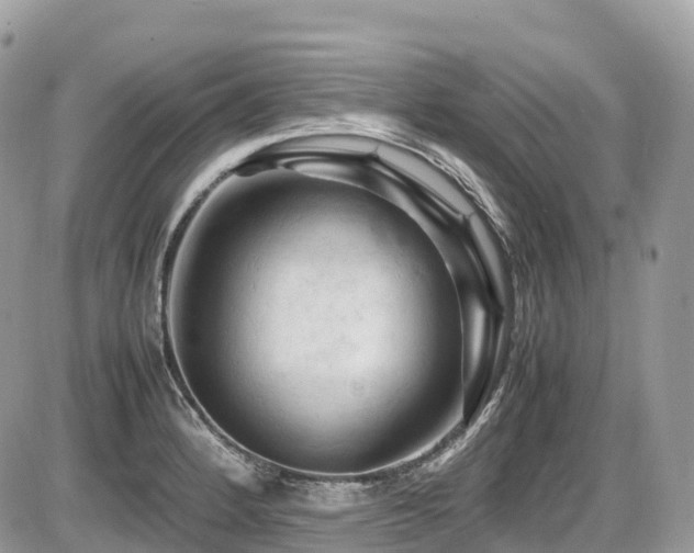 X0000087421184200704201418