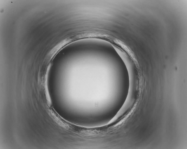 X0000087421185200704201418