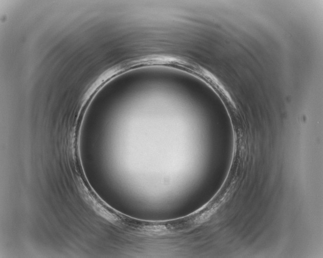 X0000087421186200704201418